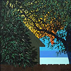 just over the brown fence on the other side of a full leafy green trees is the silhouette of a house on a white sand beach overlooking a blue ocean and sky